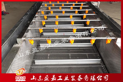 软毛刷鱿鱼清洗机与菌类速冻生产线的技术应用与前景